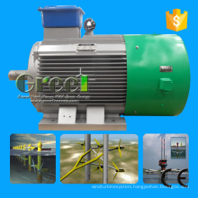 10kw 500kw Hydro Turbine Generator with Low Speed